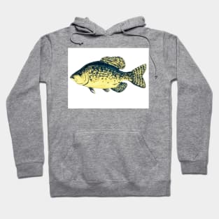 Crappie fish Hoodie